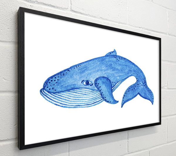 Blue Whale