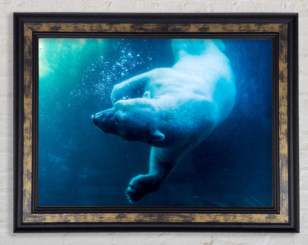 Polar Bear Swimming Framed Print