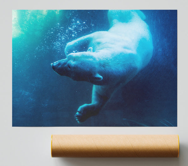 Polar Bear Swimming Giclee Print