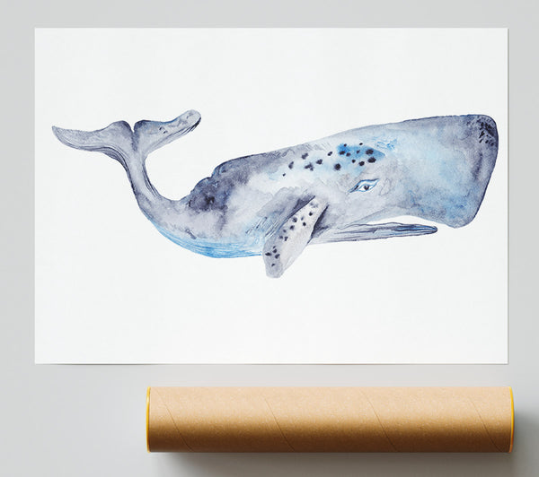 Whale Print