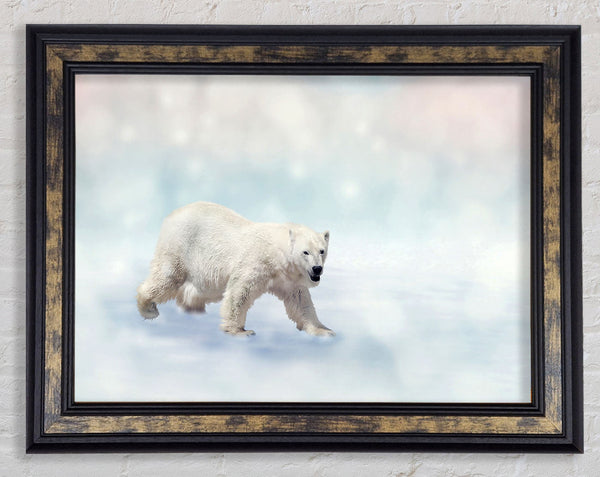 Polar Bear Twinkle Framed Print