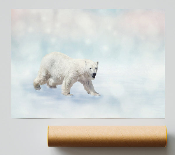 Polar Bear Twinkle Poster