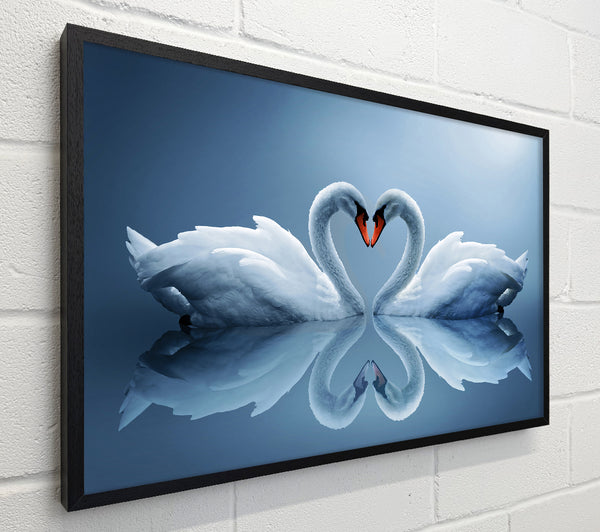 Heart shaped Swans