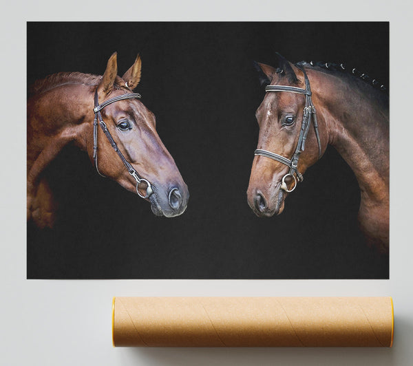 Horse Duo Print