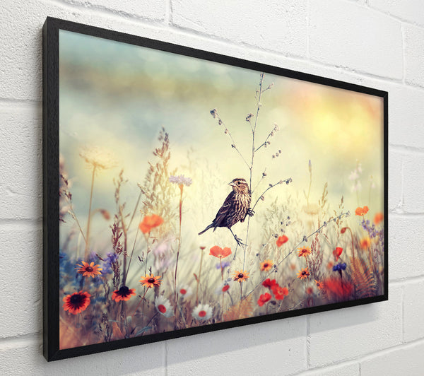 Bird in Paradise
