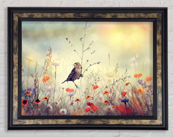 Bird in Paradise Framed Print