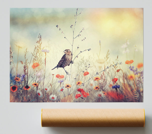 Bird In Paradise Poster