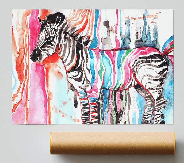 Funky Zebra Poster