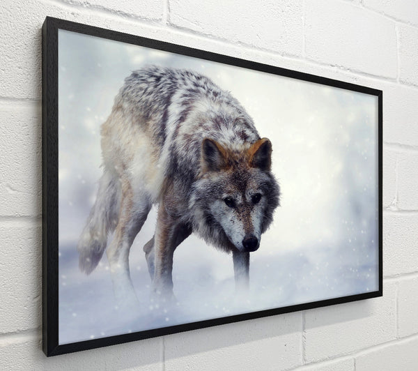 Prowling Wolf