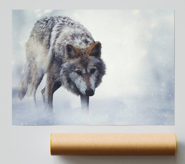Prowling Wolf Giclee Print