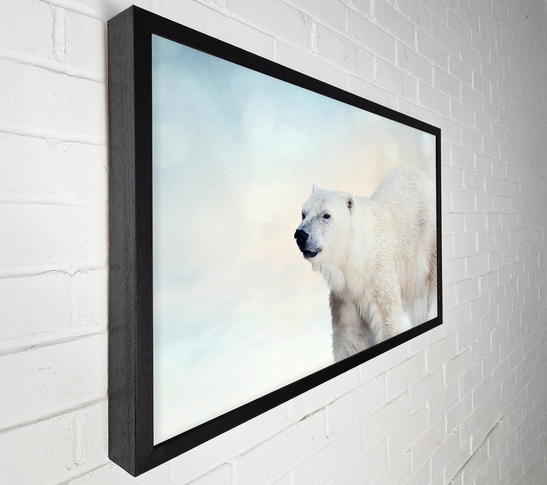  A Canvas Print of Polar Bear Wonder Canvas Art