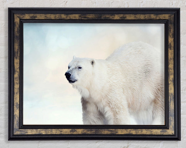 Polar Bear Wonder Framed Print