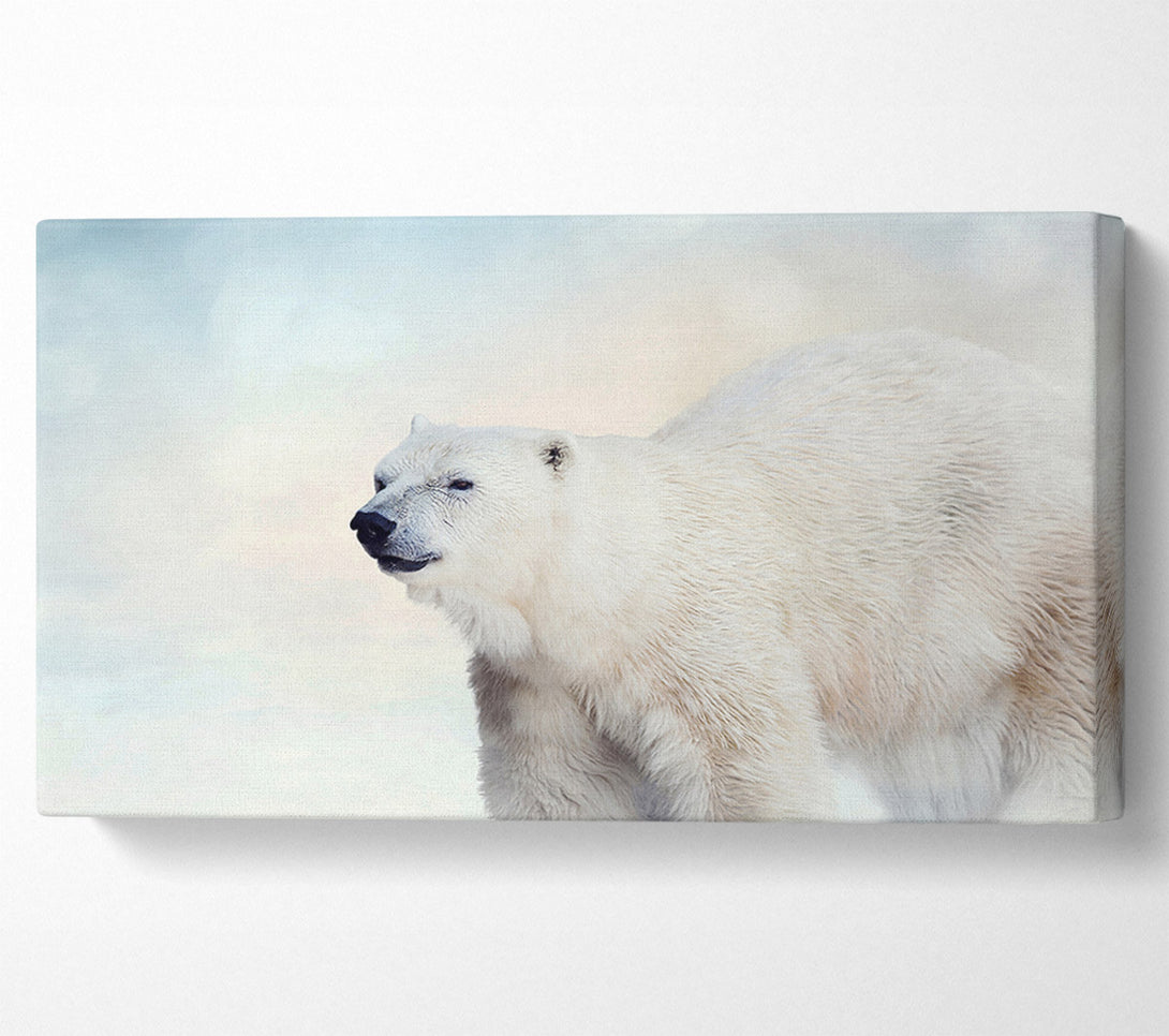  A Canvas Print of Polar Bear Wonder Canvas Art