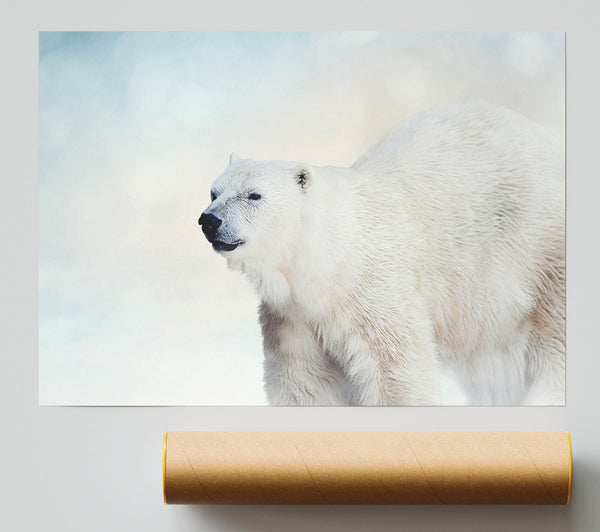 Polar Bear Wonder Giclee Print