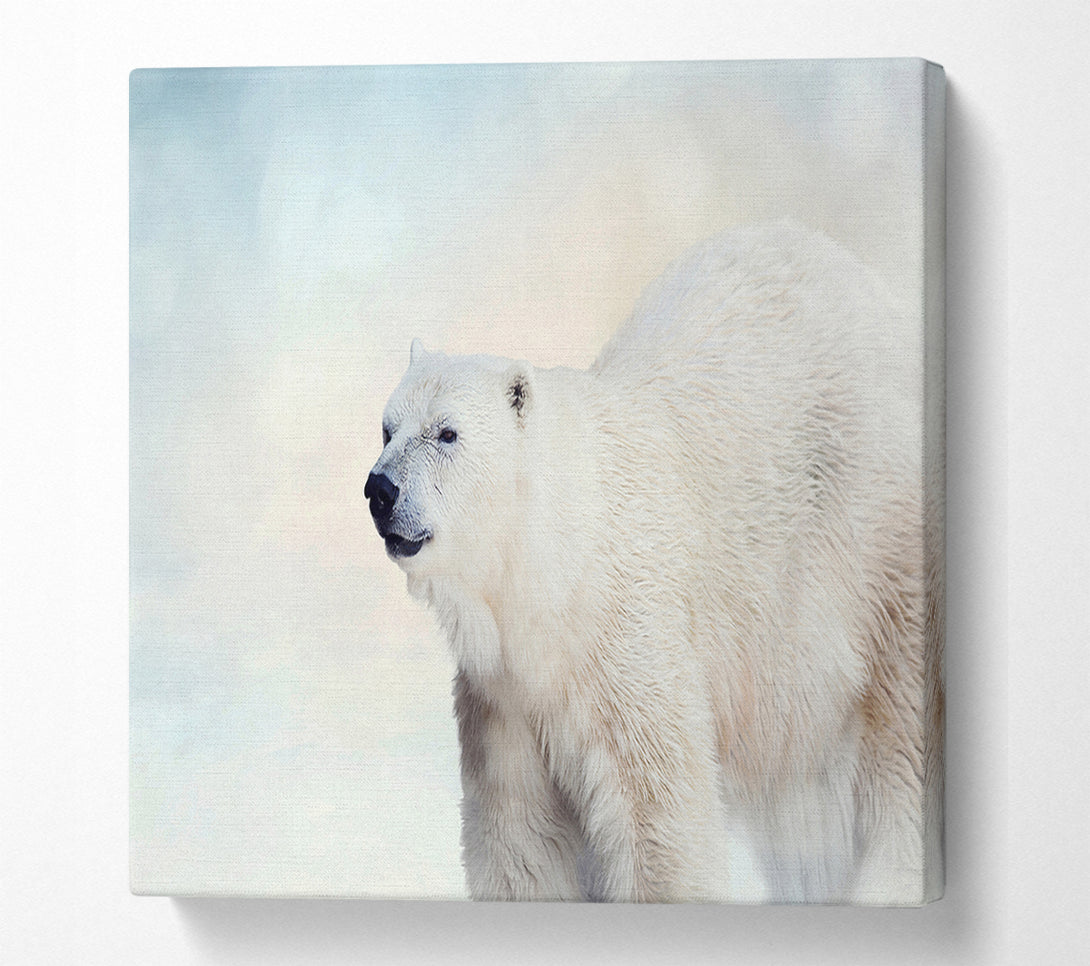  A Canvas Print of Polar Bear Wonder Canvas Art
