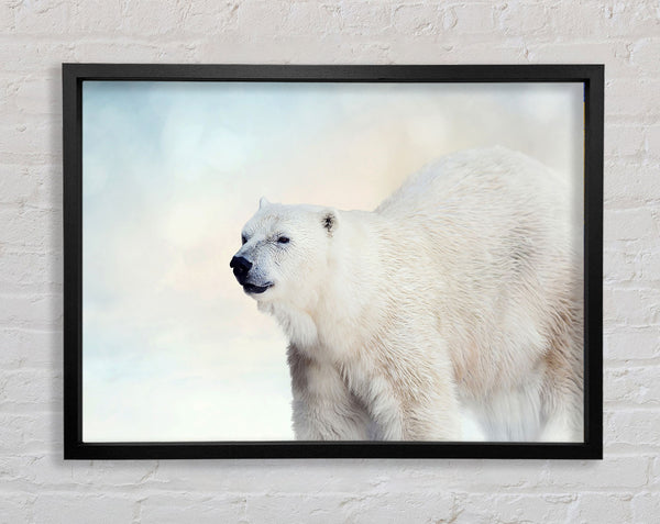 Polar Bear Wonder Framed Print