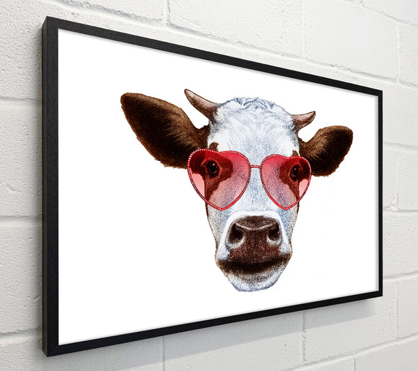 Love Cows