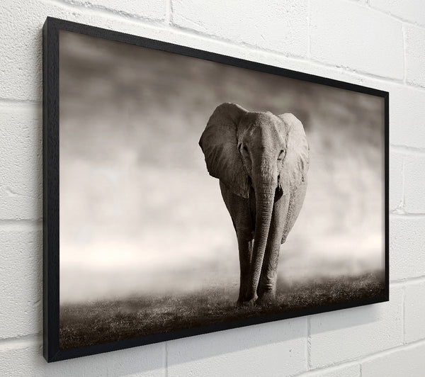 Lonesome Elephant