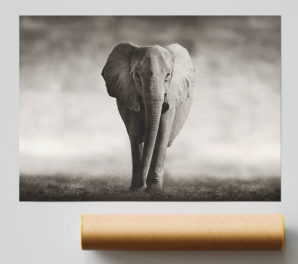 Lonesome Elephant Giclee Print