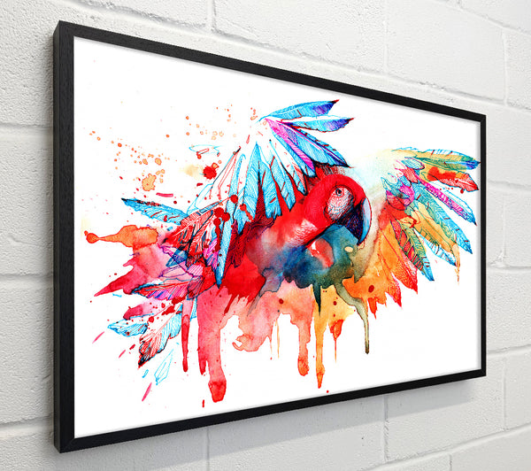 Colourful Parrot