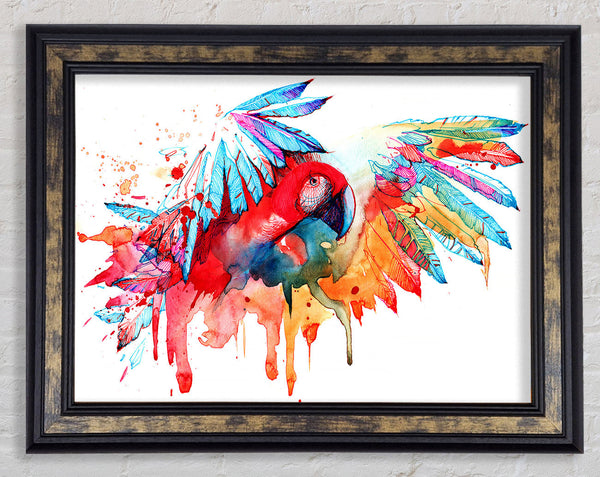 Colourful Parrot Framed Print
