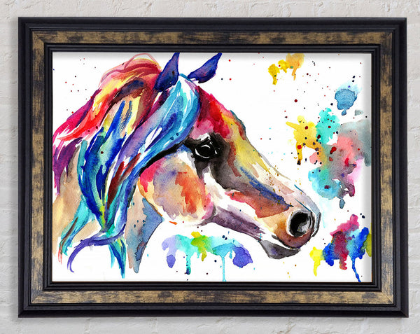 Rainbow Horse Framed Print