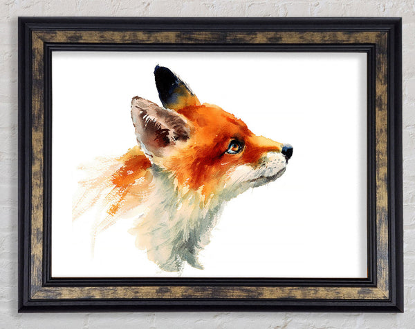Fox Love Framed Print