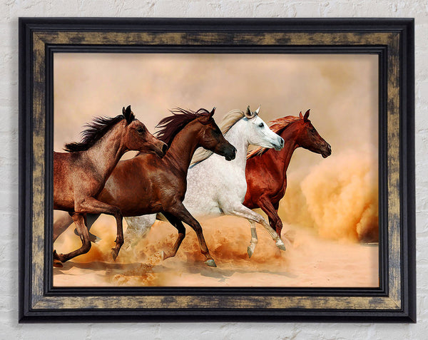 Horse Stampede Framed Print
