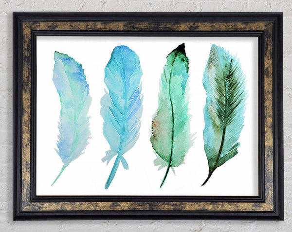 Green Blue Indian Feathers Framed Print