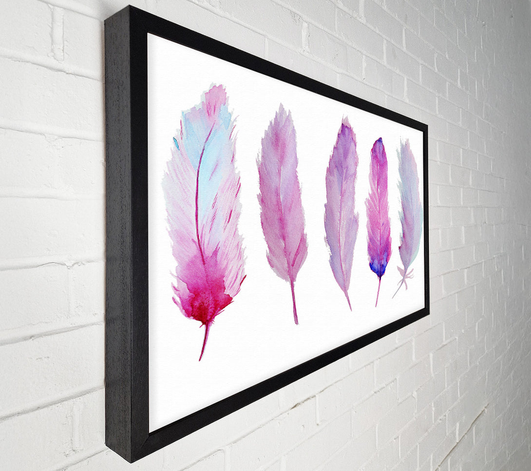  A Canvas Print of Pink Indian Feathers 1 Canvas Art