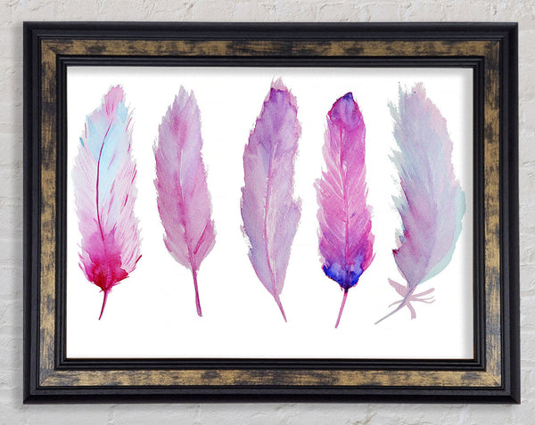 Pink Indian Feathers 1 Framed Print