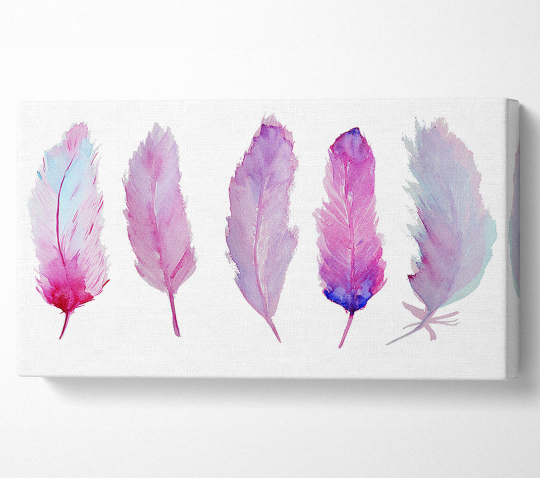  A Canvas Print of Pink Indian Feathers 1 Canvas Art