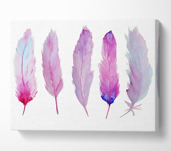  A Canvas Print of Pink Indian Feathers 1 Canvas Art
