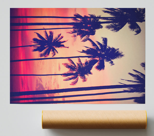 Californian Palm Trees Print