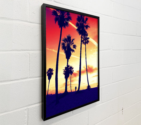 Palm Tree Sunset