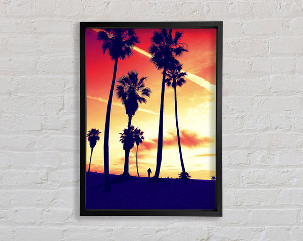 Palm Tree Sunset Framed Print