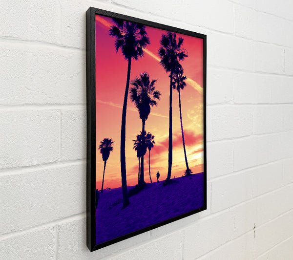 Los Angeles Palm Tree Walk