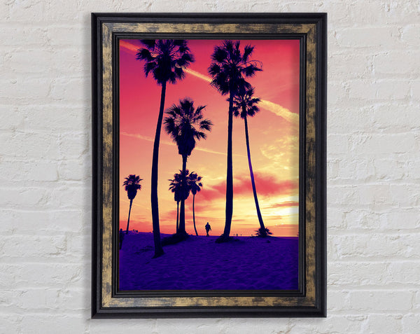 Los Angeles Palm Tree Walk Framed Print