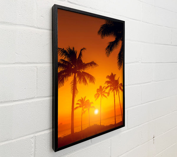 Stunning California Sunset