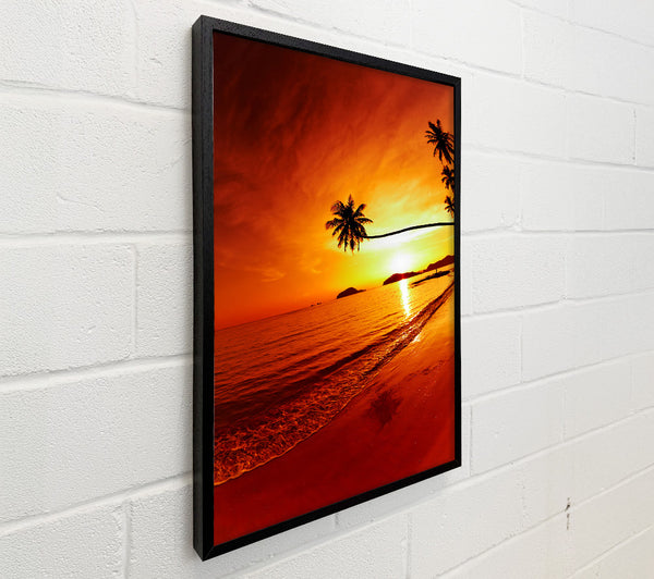 Ocean Sunset Palm