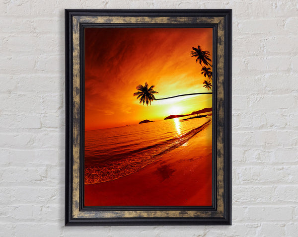 Ocean Sunset Palm Framed Print