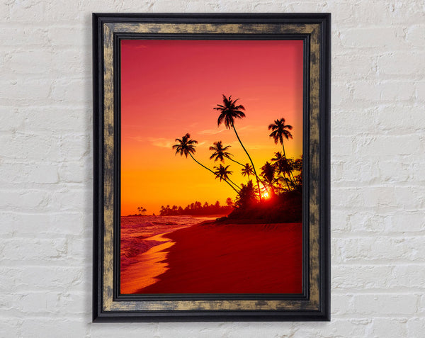 As The Sun Sets Under The Palm Trees Framed Print