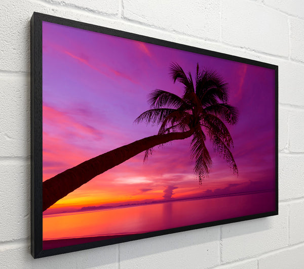 Palm Tree Skies