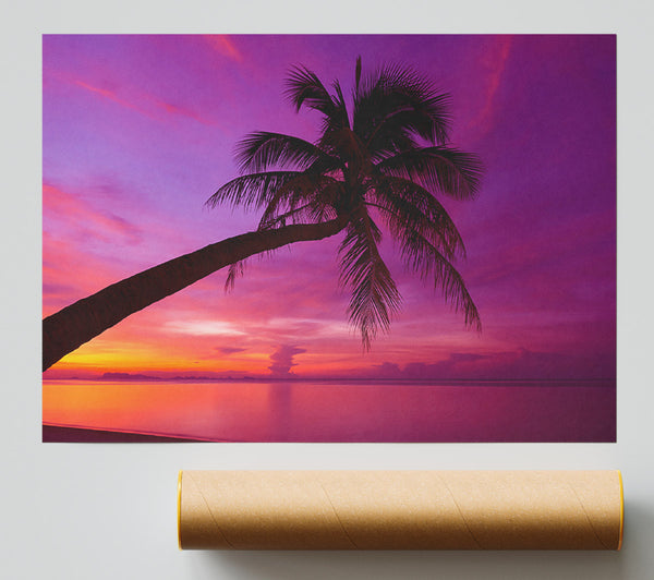 Palm Tree Skies Poster