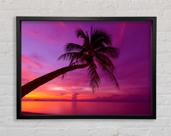 Palm Tree Skies Framed Print