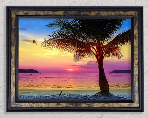 The Colours Of Paradise Framed Print