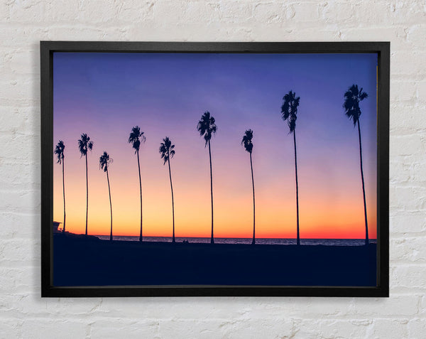 Palm Tree LineUp Framed Print