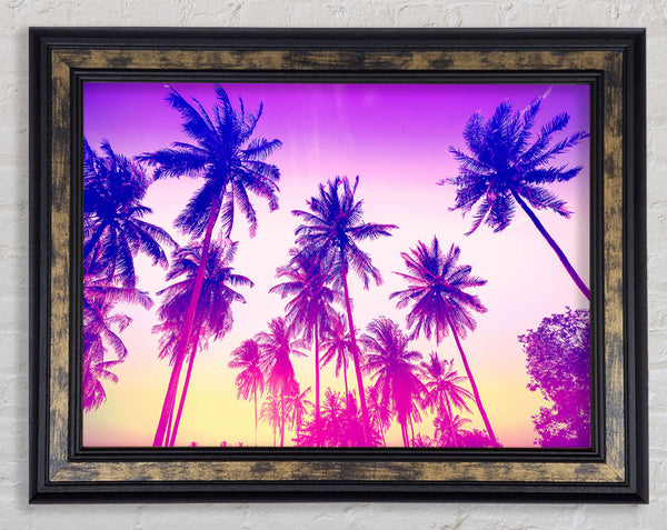 Psychedelic Palm Tree Skies Framed Print