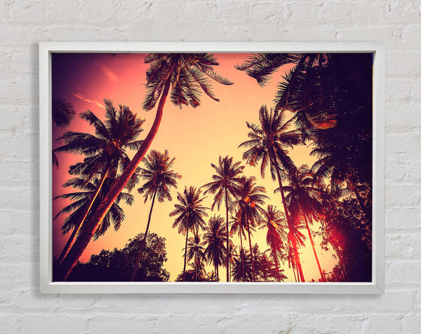 Just Palm Trees Framed Print