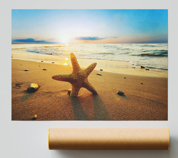 Starfish Sun Glow Print